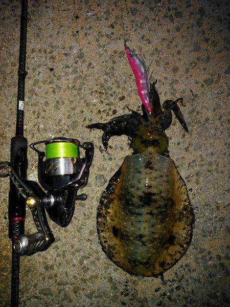 仕事終わりの一杯！